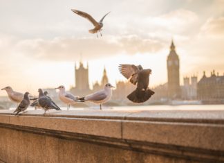 10 najczęściej odwiedzanych atrakcji turystycznych Londynu•