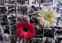 Jak miał na nazwisko Waluś legendy warszawskie? Jak miał na nazwisko Waluś legendy warszawskie?