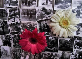 Jak miał na nazwisko Waluś legendy warszawskie? Jak miał na nazwisko Waluś legendy warszawskie?